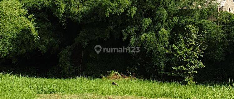 KAVLING BENTUK KOTAK LOKASI BAGUS 1