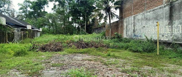 Dijual Cepat Tanah Pekarangan Luas Di Prujakan Jl. Damai Sleman. 1