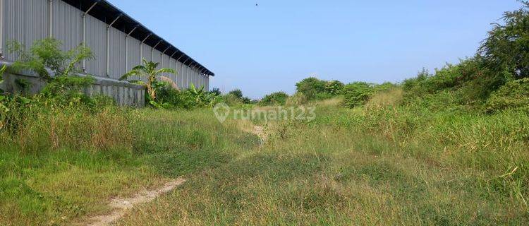 Dijual Cepat   Tanah Kavling dan Gudang  di Kawasan Industri Terboyo Semaranh 1