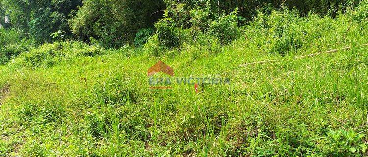 Tanah Ngenep Karangploso, Dekat Pemukiman Padat Penduduk, Akses Batu 1