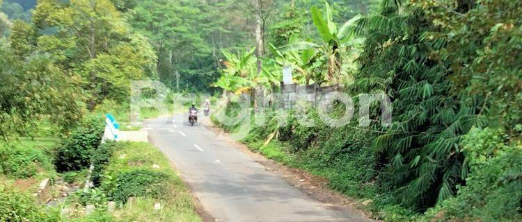 Gratis Pohon Durian Masih Produktif! Lahan Jumbo di Trawas, Pandaan 1