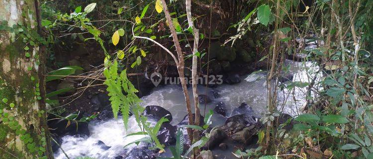 Tanah Kebun Los Sungai View Sawah Dekat Jalan Utama Siap Bangun 1