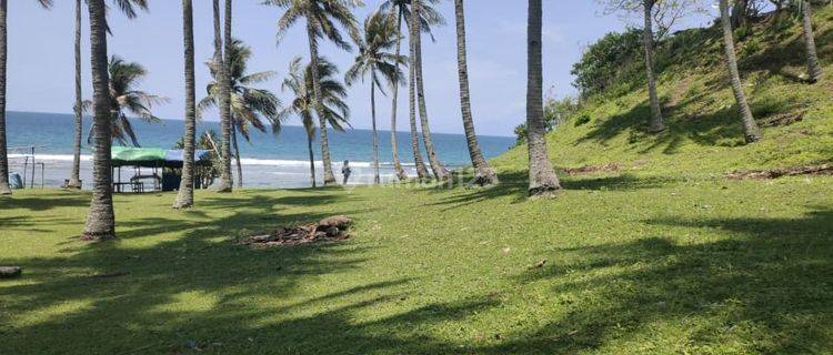 Kavling Dipinggir Pantai Untuk Bangun Hotel Resort Dilombok .NTT. Pantai Senggigi. 1