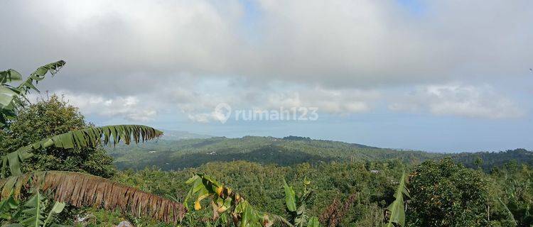 BUC TANAH MURAH VIEW LAUT UTARA BALI 1