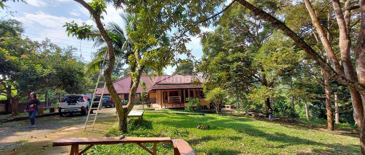 Dijual CEPAT Tanah Kebun + Villa di Carita Anyer 1