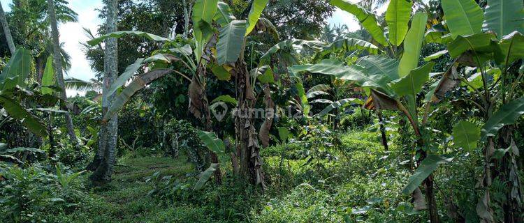 tanah murah buc di perean baturiti tabanan 1