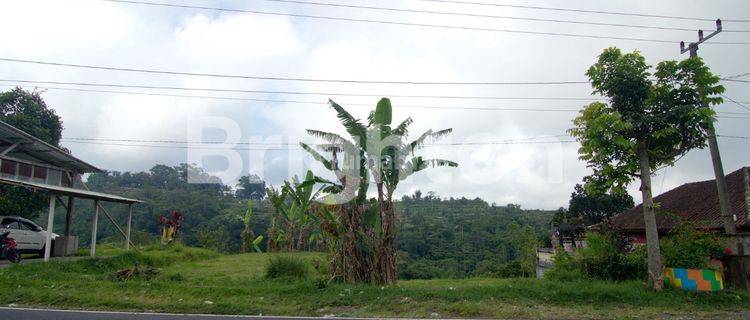 LAND ON THE MAIN ROAD OF DENPASAR SINGARAJA 1