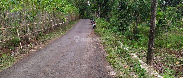 Dijual Tanah Kebun Di Ciawi Japura Kab Cirebon 1