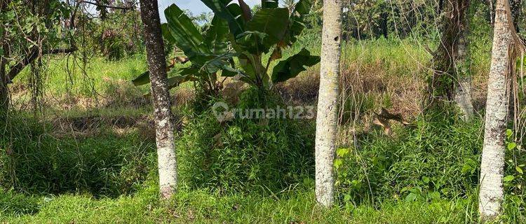 TANAH ASPEK PERUMAHAN DI TABANAN 1