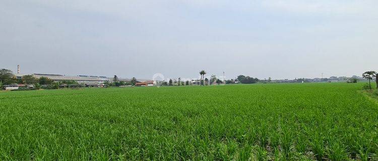 Lahan Luas di tengah Kota Karawang 1