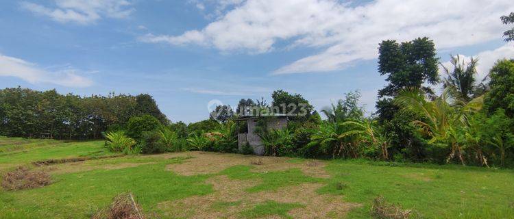 940 SQM FREEHOLD LAND IN LOVINA 1