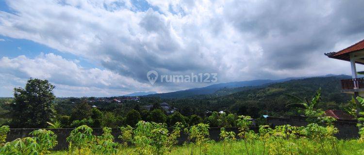 740 SQM FREEHOLD LAND IN LOVINA 1