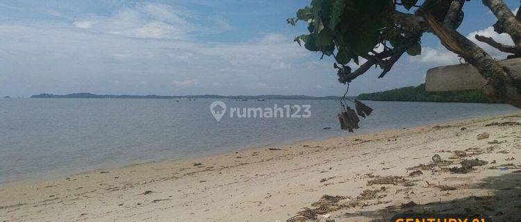 Tanah Strategis Siap Bangun Di Teluk Sebong, Bintan , Kepri, Riau 1