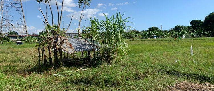 lahan 9 hektar merak dekat mitsubishi chemical 1