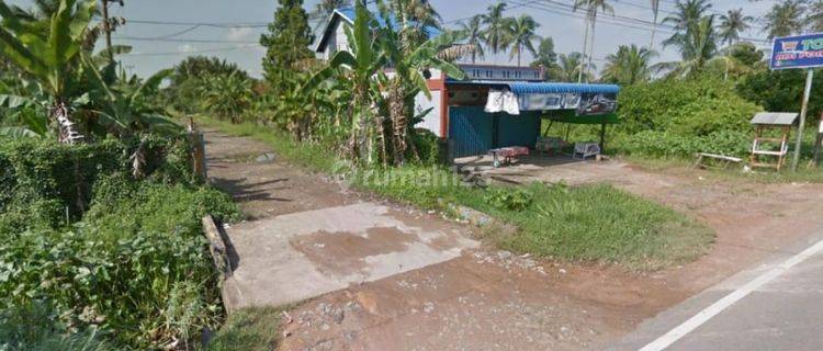 TANAH 3.8HA DI WAJOK HILIR SIANTAN, PONTIANAK 1