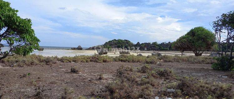 Dijual Cepat Tanah NTT dekat Villanya Luna Maya Akses Pantai dengan Pasir Putih 1