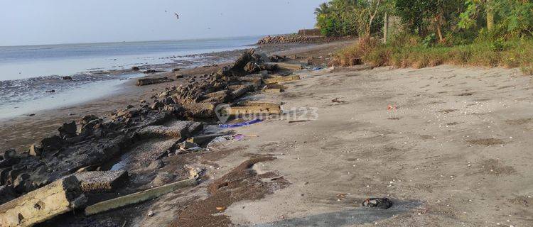 Dijual Tanah Dekat Exit Tol Tanjung Lesung Akses Pantai 1