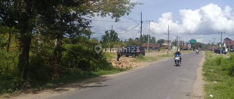 Tanah murah banget di pringsewu Lampung 1