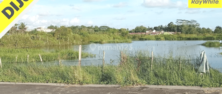 MURAH TANAH di Bengkulu 1