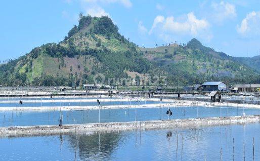 Tanah Pinggir Laut Lampung Selatan 1