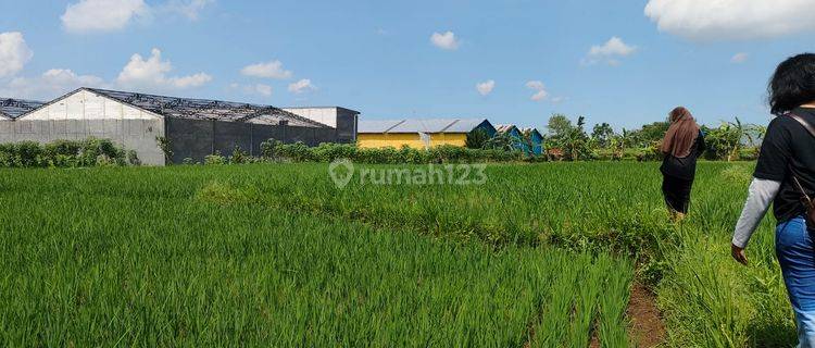 Tanah di Cisaat, Sukabumi 3.240 m² 1