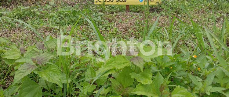 KAVLING MURAH SHM TERLETAK DI DEKAT RUMAH SAKIT BAPTIS BATU 1