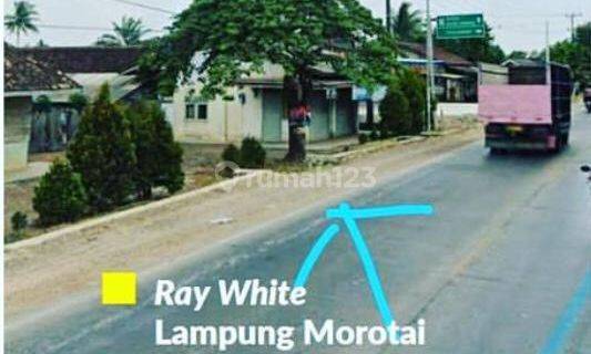 Tanah kosong dipinggir jalan lintas Sumatera Bandar Jaya Lampung Tengah 1