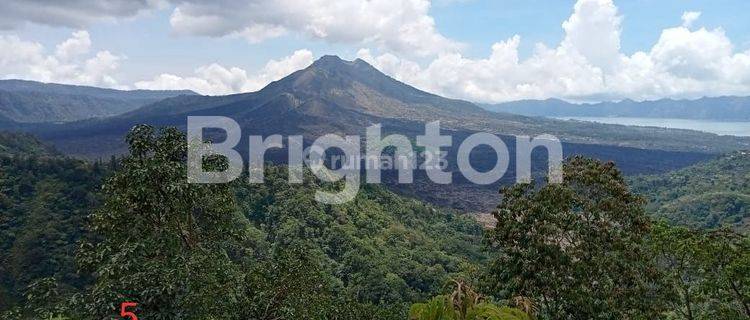 LAND IN VERY STRATEGIC LOCATION on the side of the main road Batur Kintamani 1