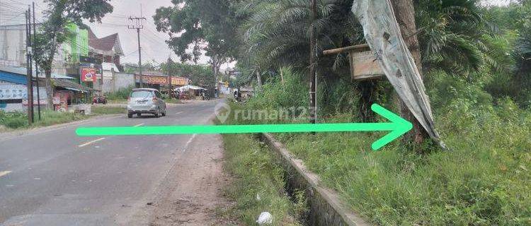 Dijual Cepat Tanah Di Sajira Lebak Banten 1