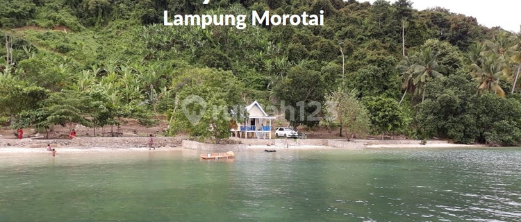tanah tepi pantai punduh pidada, pesawaran 1