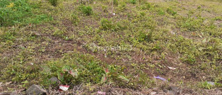 Kavling Tanah Subur dan Lahan Banyak Manfaat @Kp. Leuwi Bolang, Cikembar, Sukabumi 1