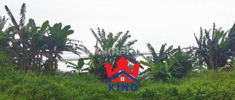 Tanah di Tumpang Raya, Semarang SHM 1.600 m² 1