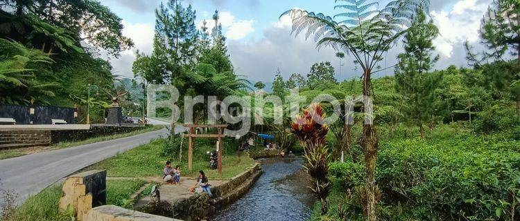 TANAH DI KEMUNING COCOK UNTUK RESTO TAMPAK 3 MUKA 1