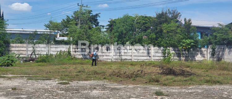 Disewakan Tanah Raya Dungus Cerme Gresik Sudah Urukan Padat 1