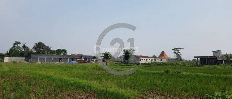 TURUN HARGA! Kavling Di Desa Ciherang 1