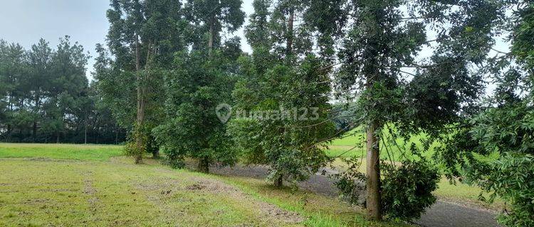 Kavling Exclusive Rancamaya Bogor 1