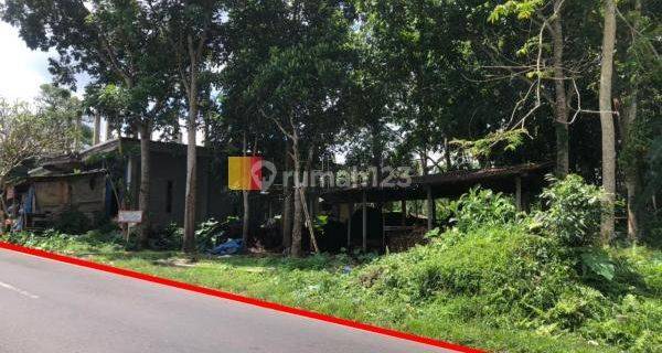 Land For Sale Area Sebatu Gianyar Near to Kintamani 1