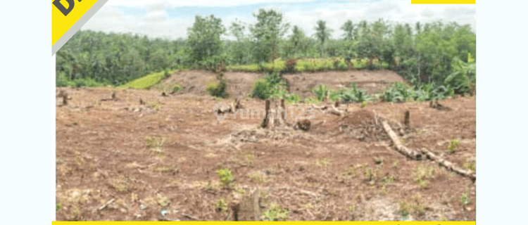 TANAH MURAH SIAP BANGUN DI JATI AGUNG LAMPUNG SELATAN 1