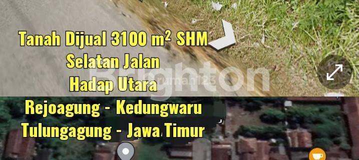 TANAH DEKAT SPBU REJOAGUNG TULUNGAGUNG JAWA TIMUR 1