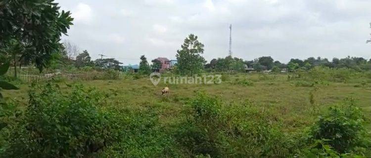 TANAH ZONA CAMPURAN CISOKA DESA SOLEAR  TANGERANG 1