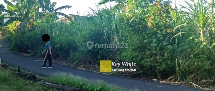 TANAH MURAH SIAP BANGUN DI UNTUNG SUROPATI BANDAR LAMPUNG 1