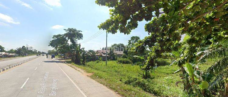 tanah pinggir jalan lintas Rimbo panjang, Kampar.. 1