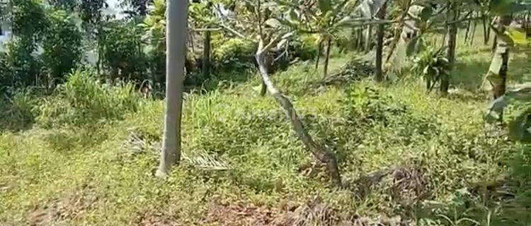 Tanah Strategis Siap Dibangun Di Jl Raya Rengasdengklok, Karawang 1