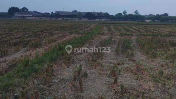 Tanah Strategis Siap Dibangun Di Rengasdengklok Karawang 1