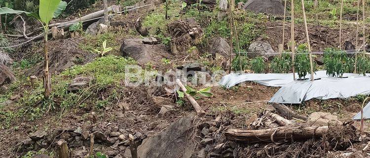 TANAH YG BISA DIGUNAKAN UNTUK TAMBANG BATU ALAM 1