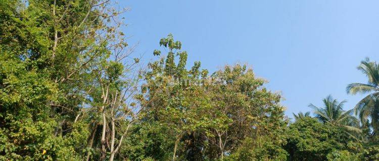 Tanah Harga Miring Kp Kepuh Ciwandan Zona Industri 1
