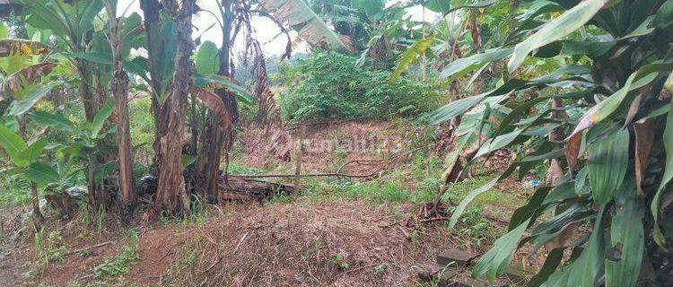 Tanah Kebun di Dekat Kawasan Wisata Tanjung Lesung Banten 1