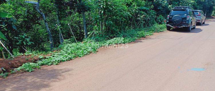 Tanah kebun  di Jonggol Bogor Jawabarat 1