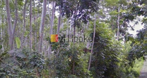 Land For SaleLease at Melaya Jembrana Close to Melaya Beach 1