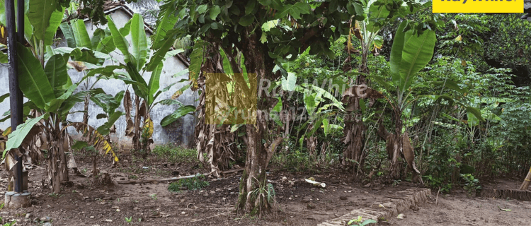 Tanah murah  Gunung Sugih 1